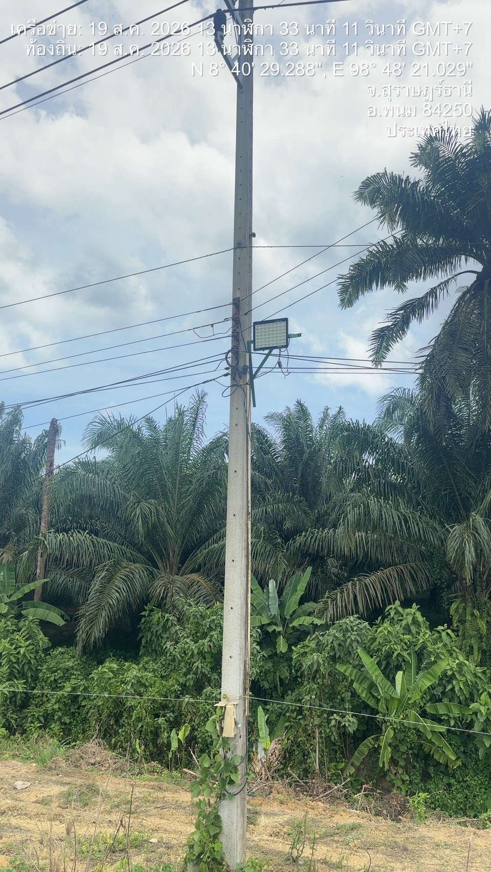 งานติดตั้ง สาย FIBER OPTIC 356 เมตร สาขาที่ 1 พนม - บริษัท กลุ่มสมอทอง จำกัด (มหาชน)